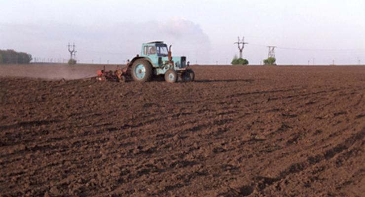 Стоимость сельхозземли в Украине может вырасти в несколько раз