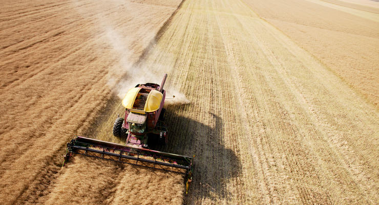 Аграрный сектор показал свыше 40% национального экспорта