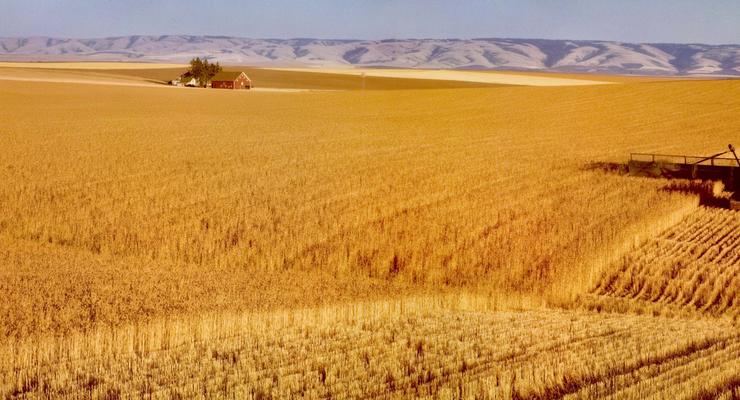 Американская CHS выделит украинским фермарам 50 миллионов на посевную