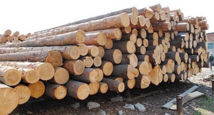 Стали известны причины отмены запрета на экспорт леса