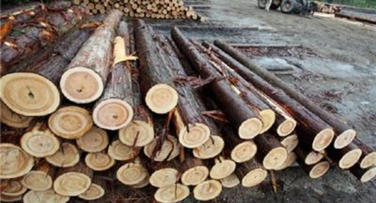 Евросоюз требовал отмены моратория на экспорт леса-кругляка