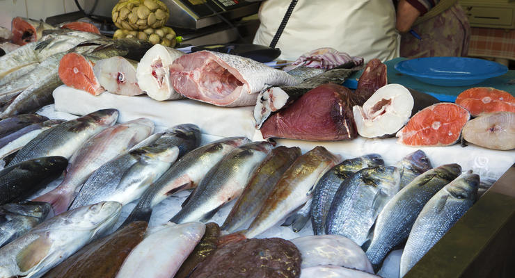 Украина побила 20-летний рекорд по вылову рыбы