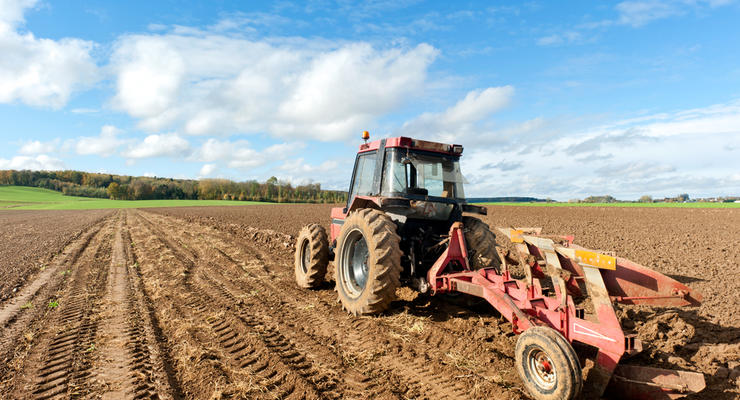 Украина вошла в топ-3 аграрных экспортеров в ЕС