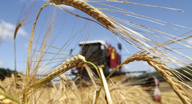 В Украине под угрозой урожай и значительная часть экспортной выручки
