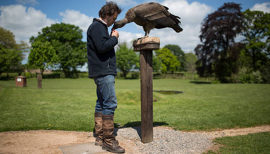 Сколько денег тратят в Украине на защиту окружающей среды