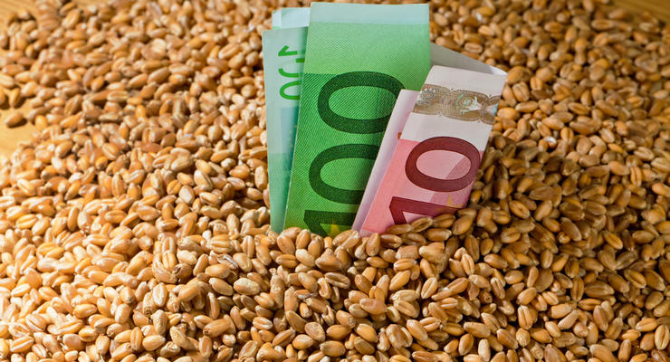 Экспорт зерна из Украины может упасть до 15%
