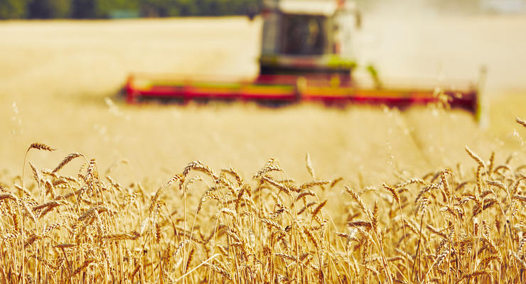 Украина теперь экспортирует зерно в ЕС без пошлин