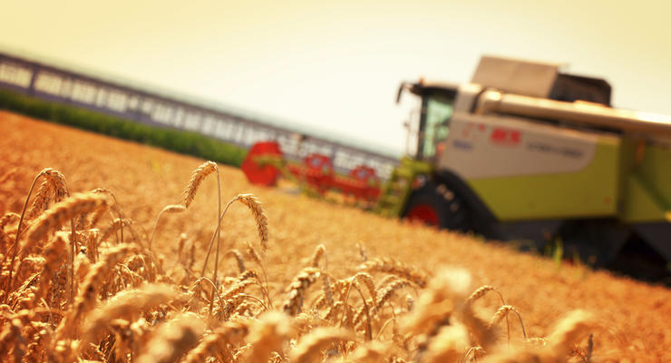 Украина соберет второй по величине урожай в своей истории