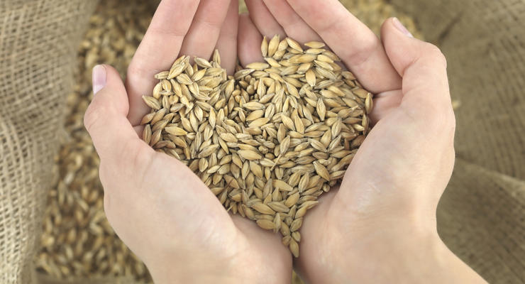 Украина увеличила экспорт зерновых в три раза за семь лет