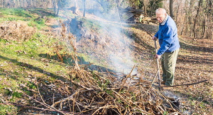 Какой штраф грозит украинцам, сжигающим сухие листья