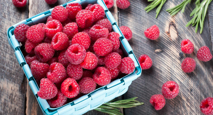 Украина нарастила экспорт плодов и ягод