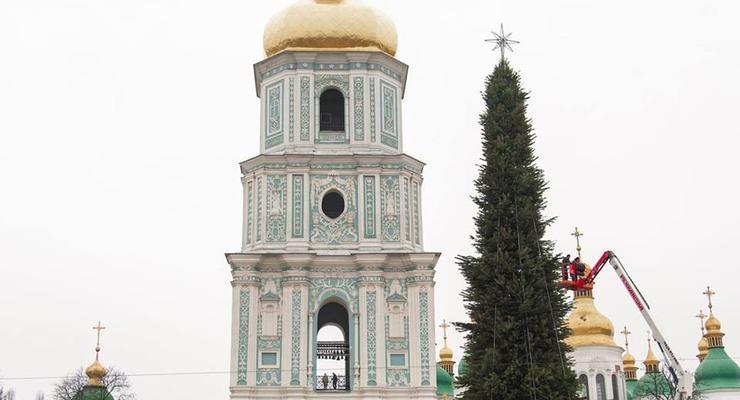 Главная елка столицы: Сколько стоит новогоднее дерево на Софийской площади в Киеве