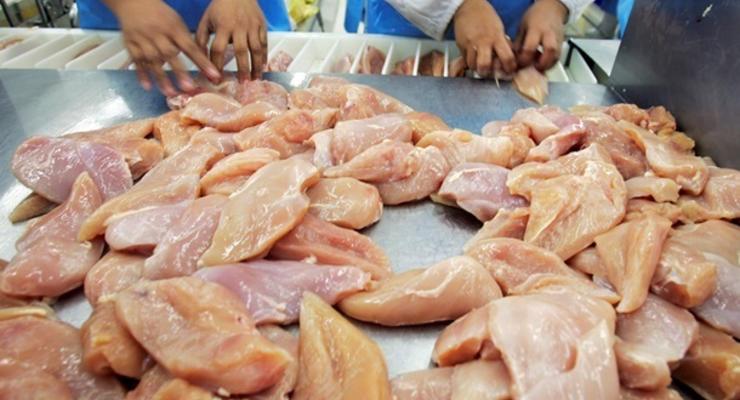 В Украине выросло потребление курятины