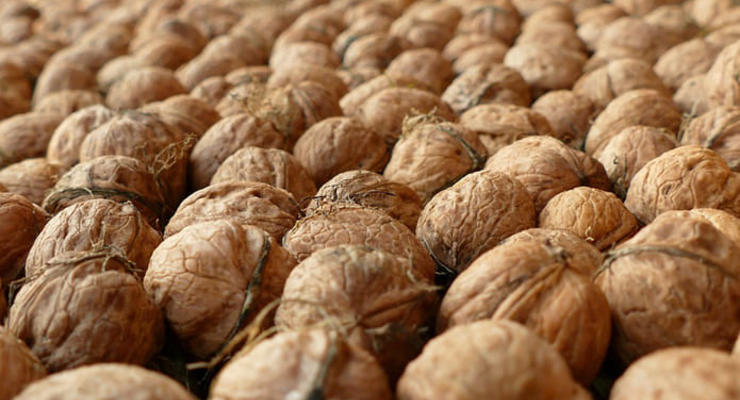 Украина рекордно экспортировала орехи и фрукты