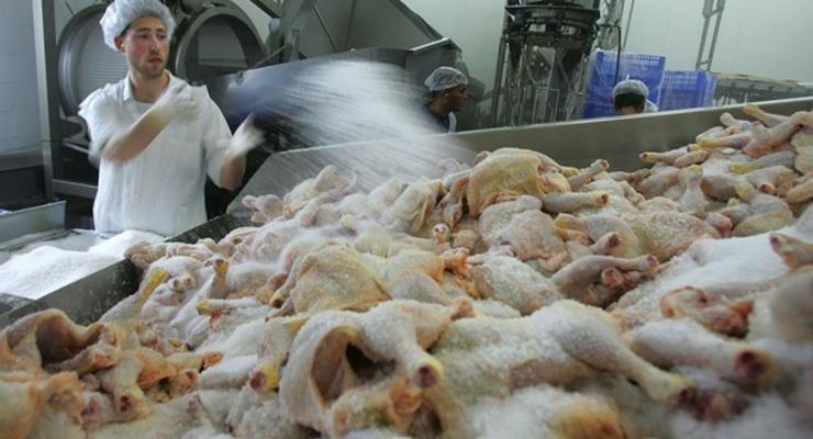 Украина и Еврокомиссия пересмотрели договор о поставках курятины