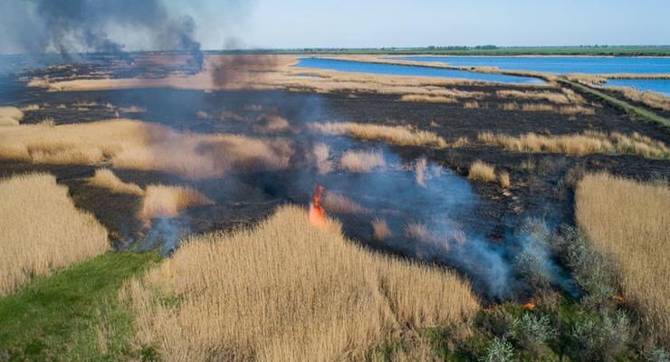 Нардепы предлагают штрафовать украинцев за сжигание травы и мусора