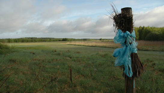 В Грузии запретили производство и продажу пластиковых пакетов