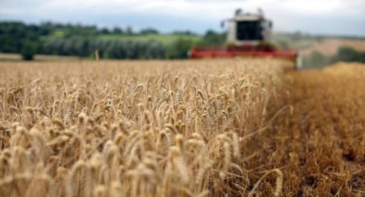 Австралия впервые за 12 лет согласилась на импорт пшеницы