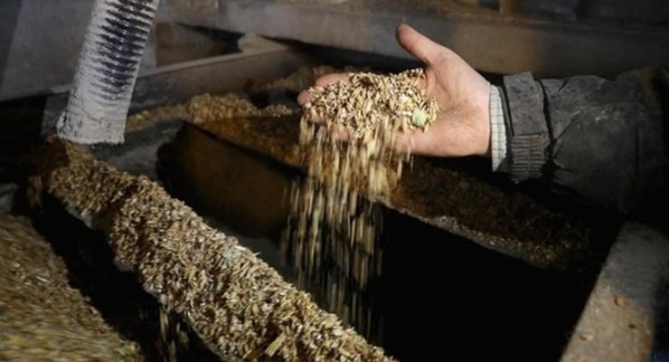 Украинский завод изобрел кормовой концентрат с рекордным содержанием белка