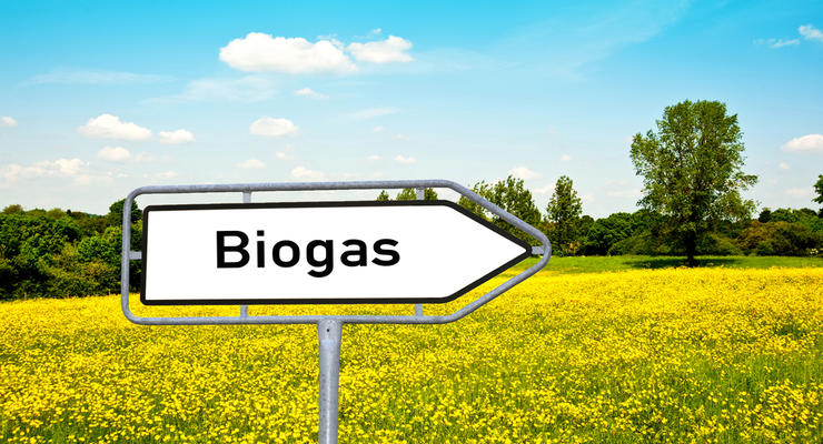 Энергетический кризис: Нафтогаз рассматривает вариант перехода на биогаз