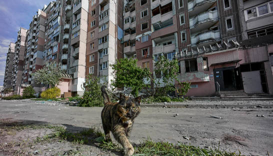 Ущерб от войны для Украины вырос: цифры