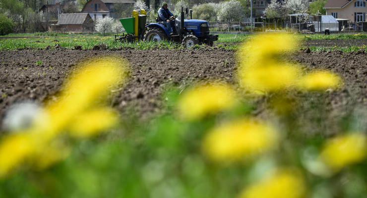 Турция планирует покупать зерно у Украины со скидкой
