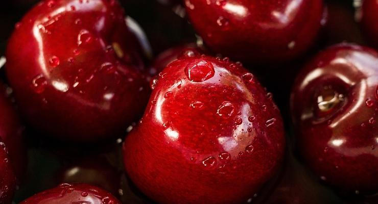 Сезон вишни в Украине: сколько стоит ягода