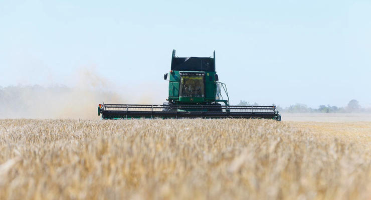 Урожай пшеницы в этом году снизится - Минагрополитики