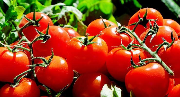 Цены на помидоры растут: цифры