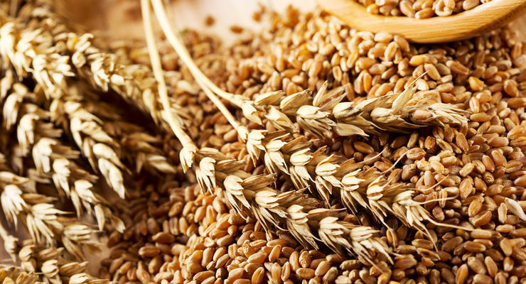 Украина направила новую партию пшеницы в Египет