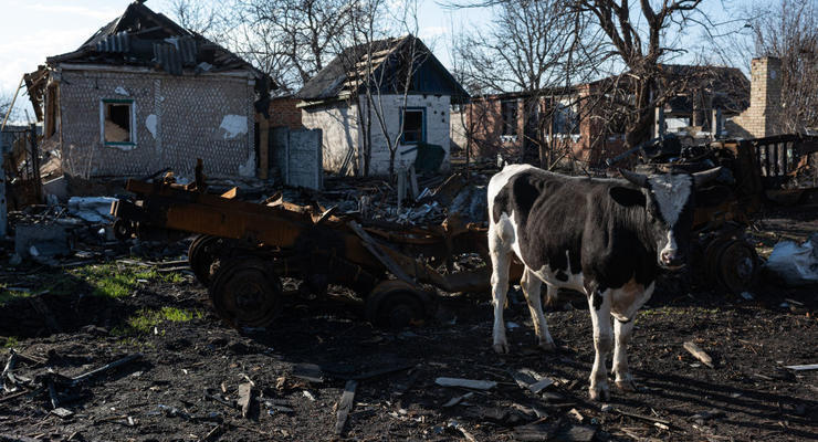 Разрушенное жилье: когда украинцы смогут получить первые компенсации