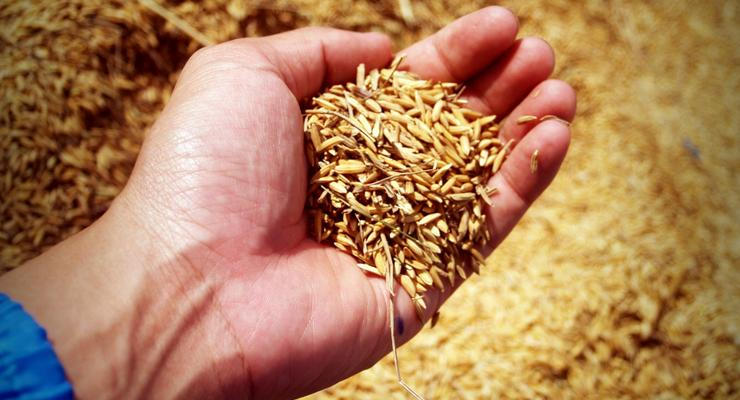 Румыния не будет запрещать импорт украинского зерна