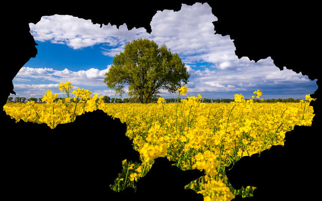 Международные резервы Украины обновили исторический рекорд