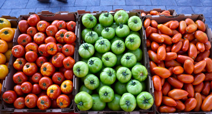 В Украине растут цены на томаты