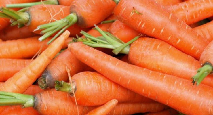 В Украине дешевеет морковь