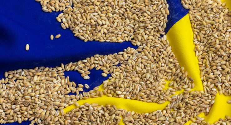Украинские аграрии реализуют пшеницу в портах Дуная с убытком до 60%
