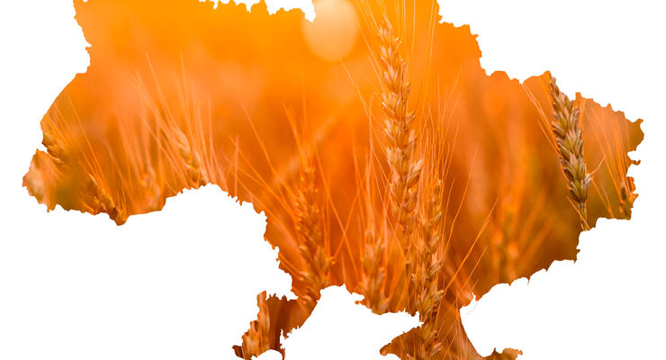 Болгария отменила запрет на импорт украинского зерна