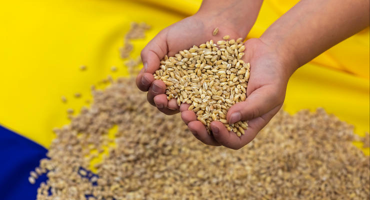 Україна відкриє ще один наземний коридор для експорту зерна