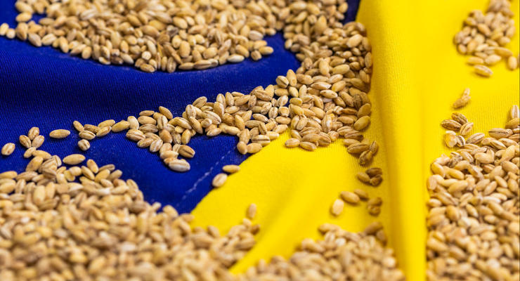 Экспорт украинского зерна снизился: цифры
