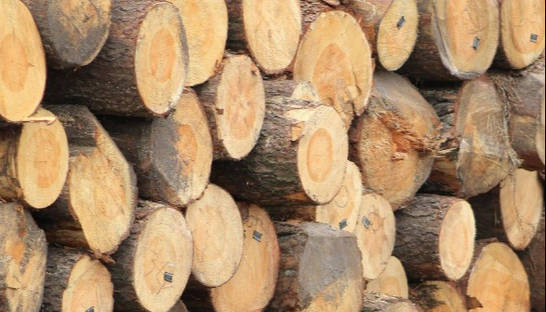 Субсидия на дрова: кто может получить 16 тысяч гривен