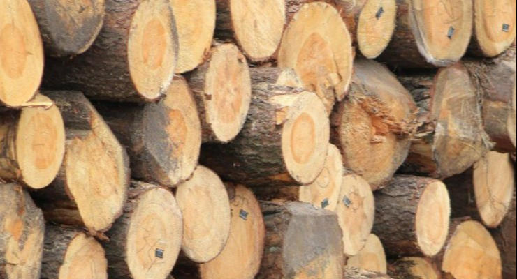 Субсидія на дрова: хто може отримати 16 тисяч гривень