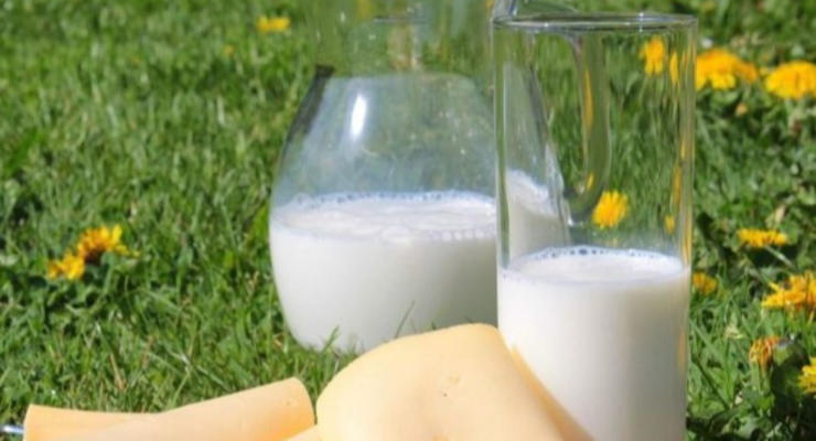 Ціни на молочні продукти в Україні зростають
