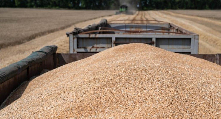 Литва начала снова покупать российское зерно