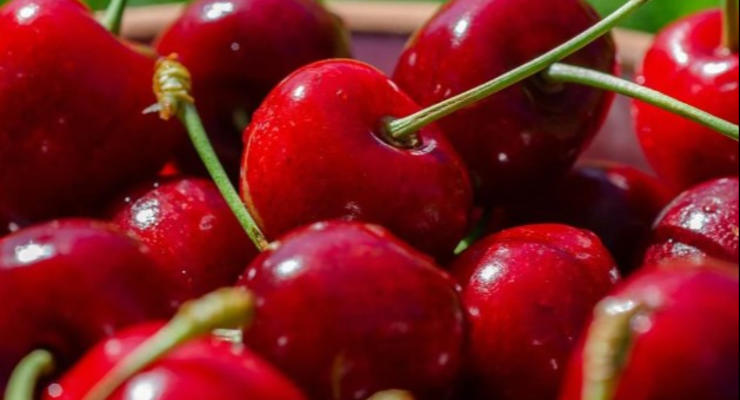 Сезон черешні в Україні: скільки коштує ягода