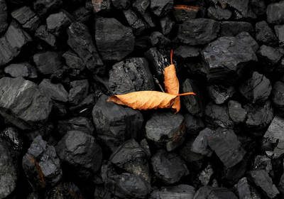 Китай сократил закупки российского угля